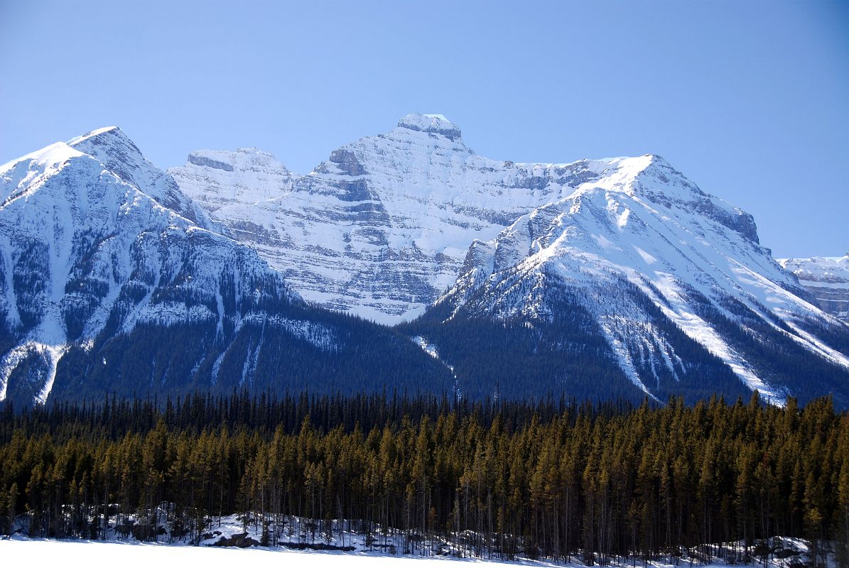 14 Mount St Piran, Mount Whyte, Mount Niblock From Near Herbert Lake On The Icefields Parkway